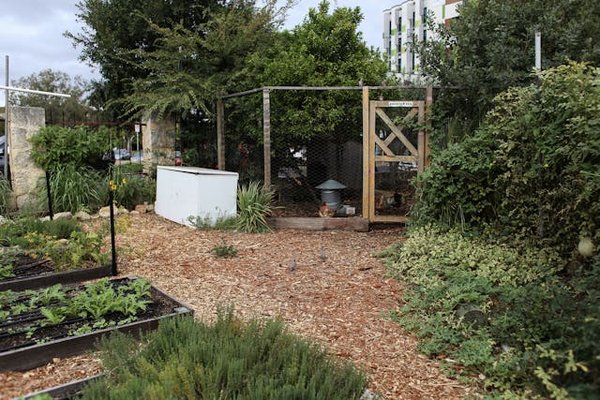 Comment l'assurance peut-elle couvrir les risques liés à l'agriculture urbaine et aux jardins sur les toits ?